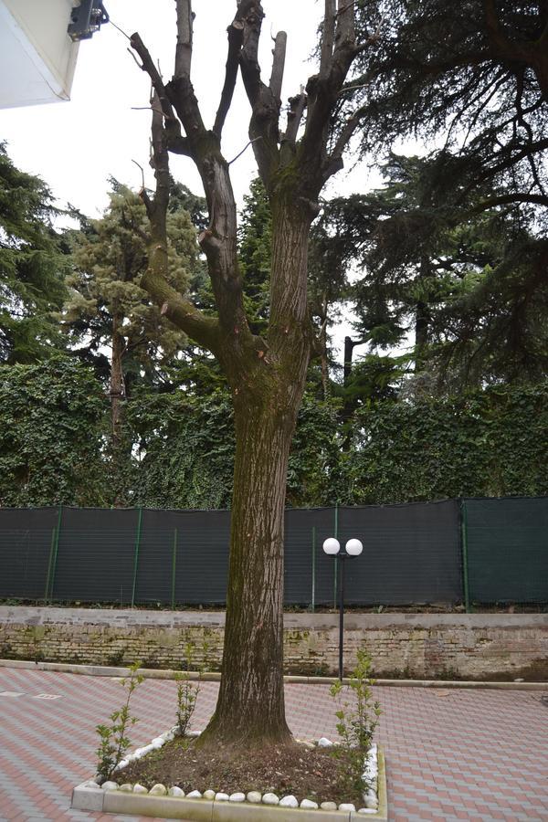 Porte Di Bologna Exterior foto